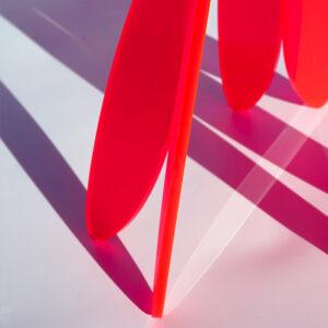 LIBELLULA - Imagen 2